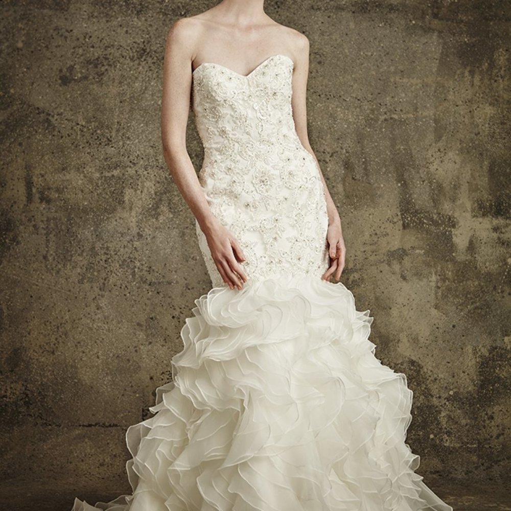 Madison Collection : 1559